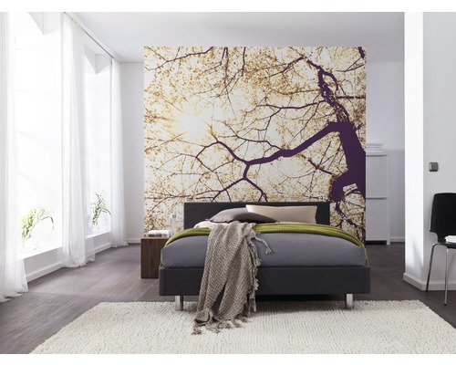 Vliesbehang V5-752 Sunshine, 5-delige set, 250 x 250 cm