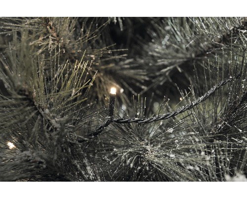 Konstsmide Micro LED-lichtsnoer 55,93 m + 5 m snoer 800 LED's warm wit licht