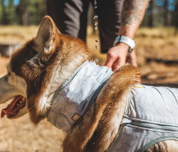 RUFFWEAR® kühlendes Hundehalstuch Swamp