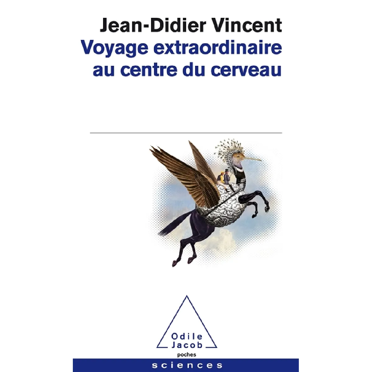 Voyage extraordinaire au centre du cerveau · Occasion