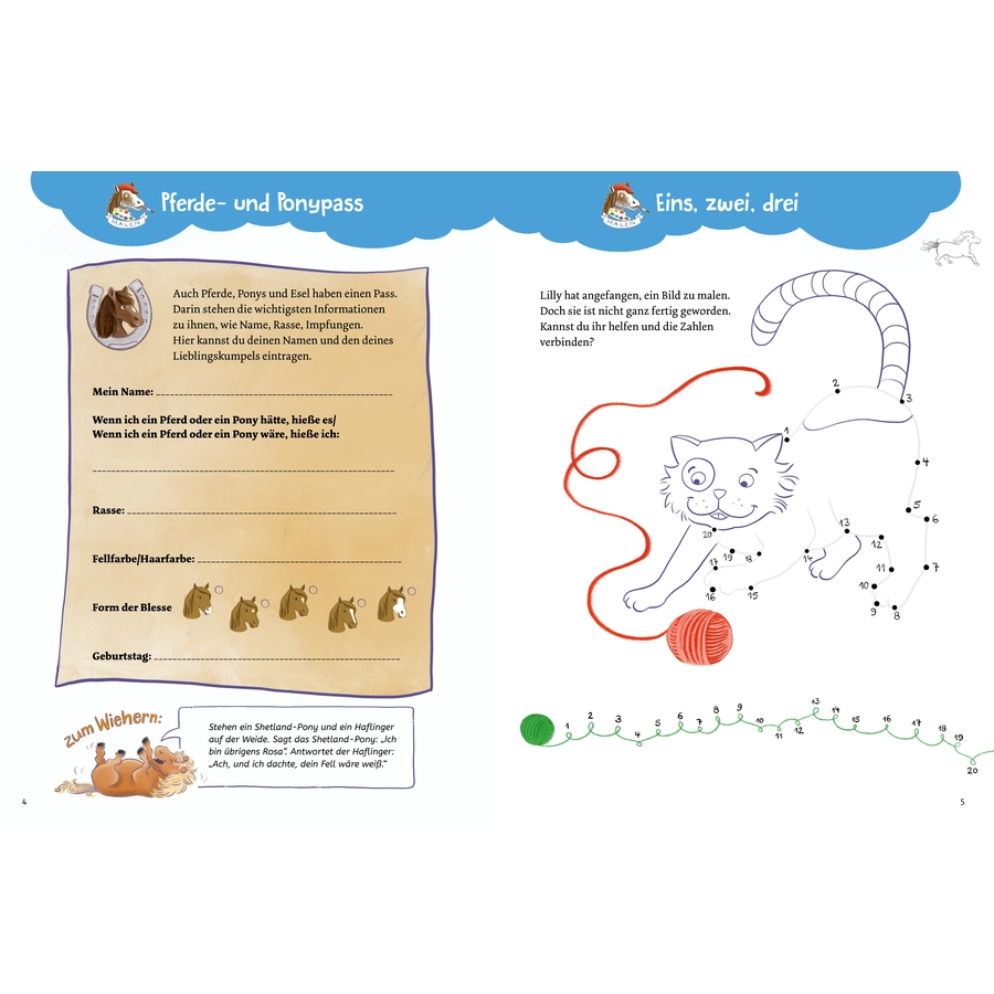 Carlsen Mein Pony-Mitmachbuch