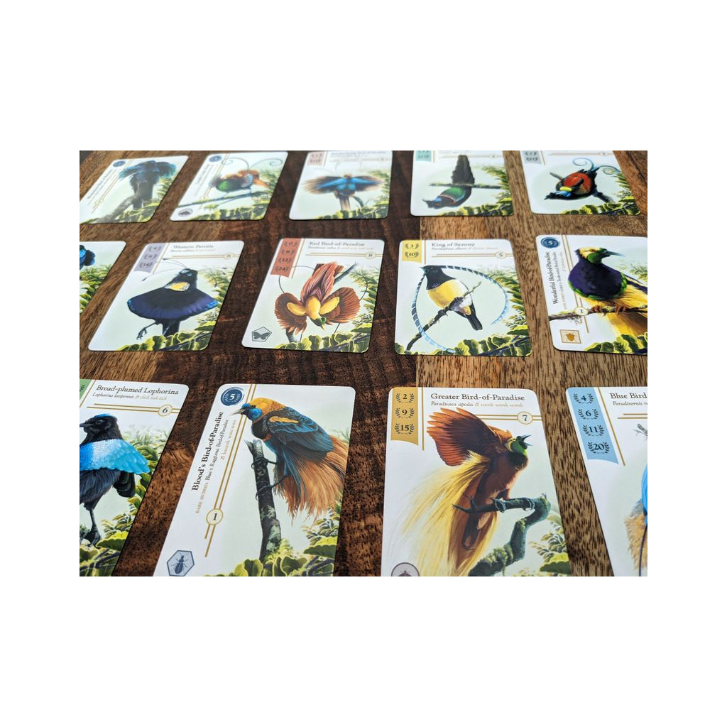 Birdwatcher - Kickstarter Edition