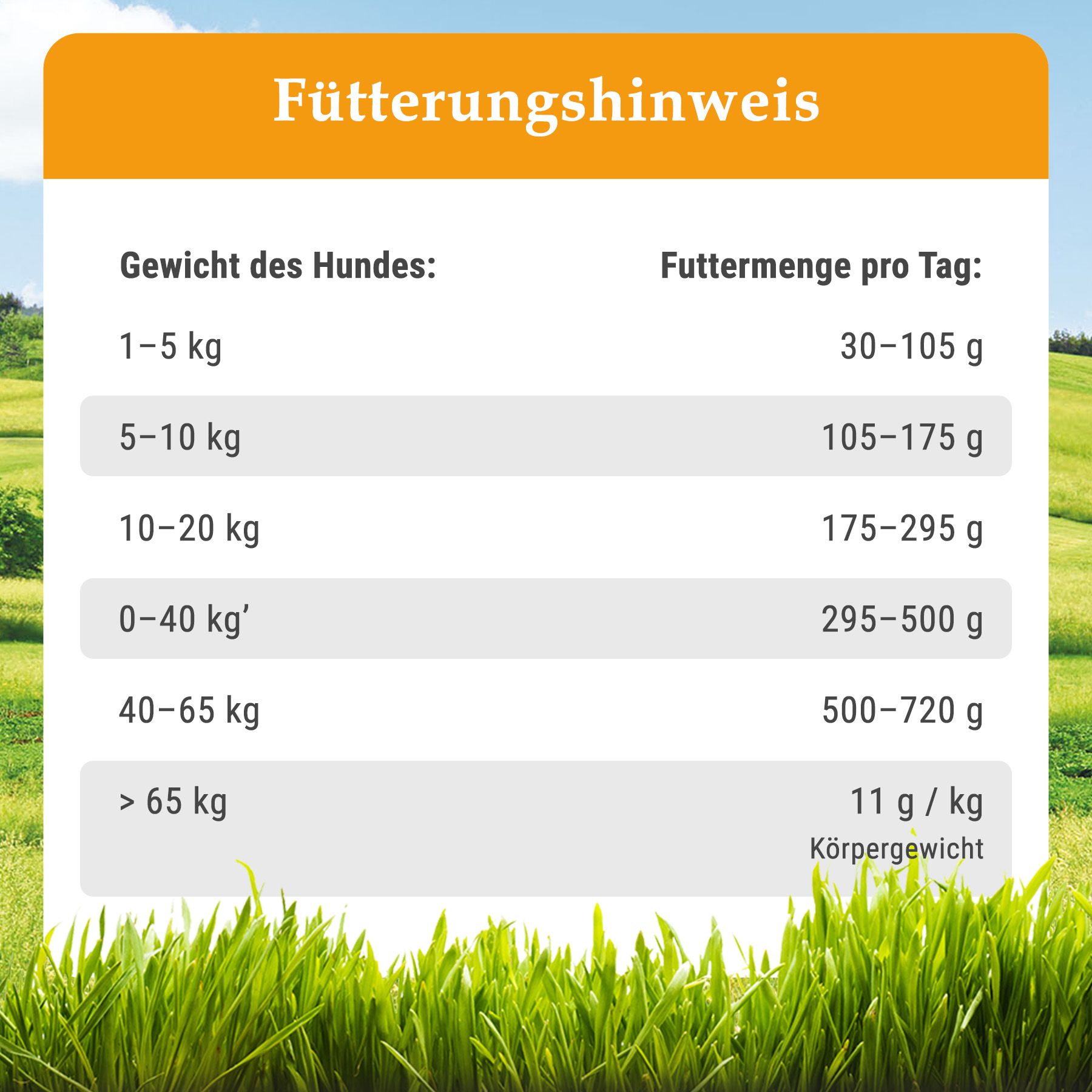 Bellfor Diät-Futterset mit kaltgepresstem Trockenfutter für große Hunderassen