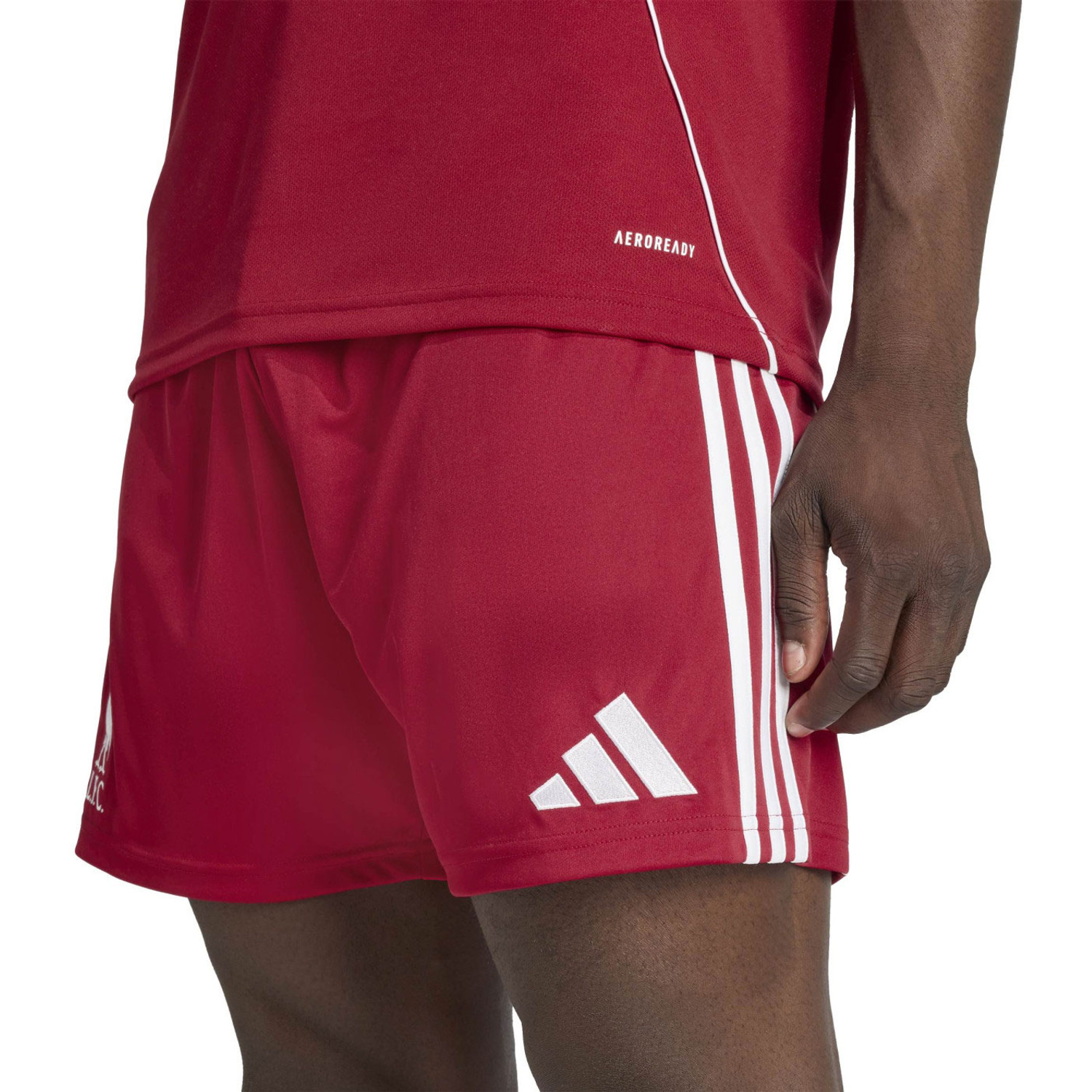 adidas Liverpool Pre-Match Trainingsset