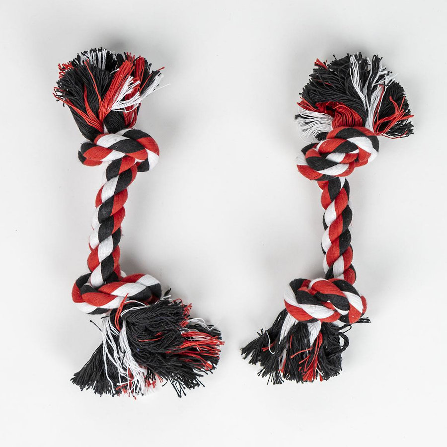 Kit de boas-vindas da Minnie Mouse da Disney para cães