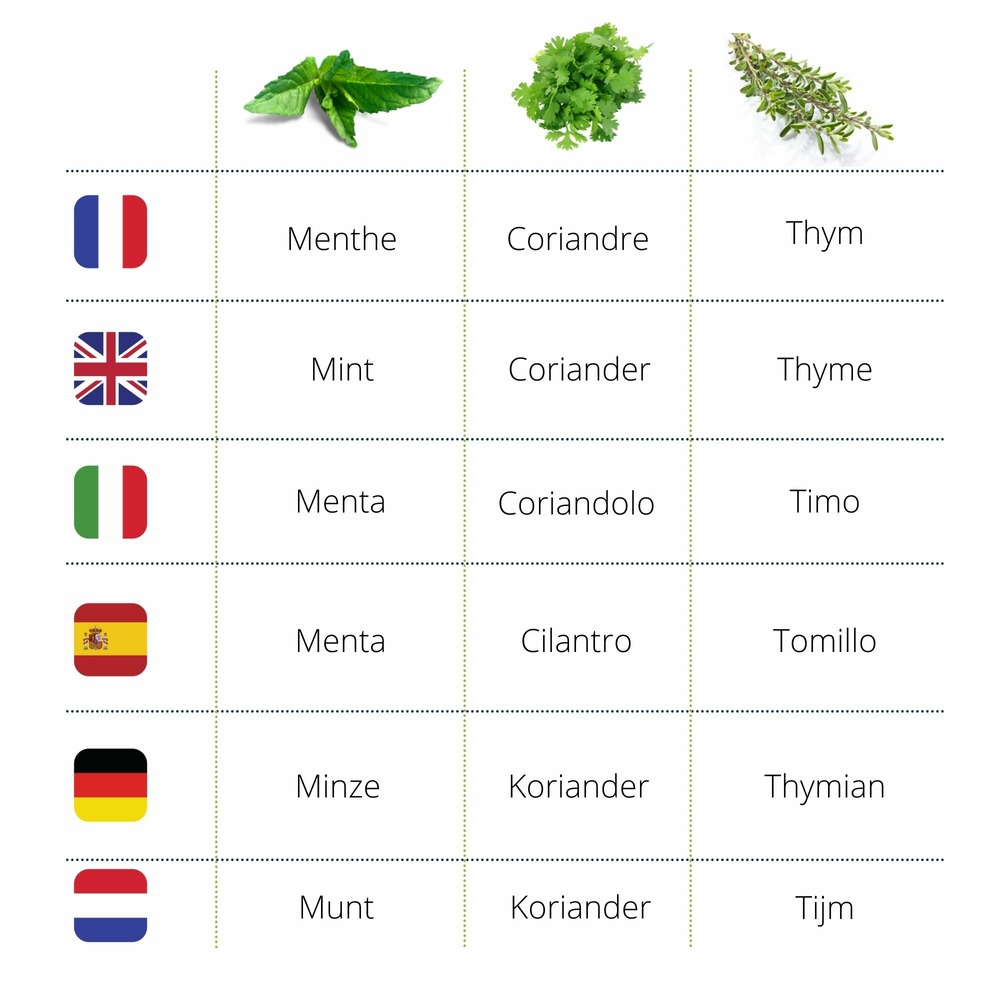 Cultivea kit prêt à pousser d’herbes aromatiques – aneth, sauge, basilic citron