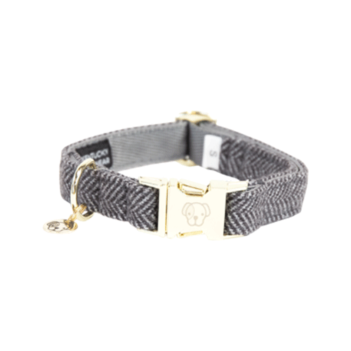 Kentucky Dogwear Hondenhalsband Wool