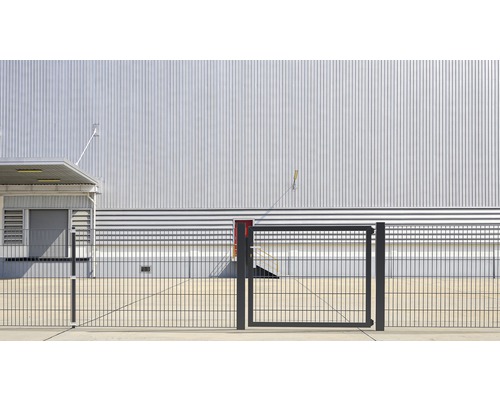 Enkele poort met metalen gaaspanelen, ALBERTS Flexo Plus 8/6/8, 150 x 100 cm, inclusief palen van 10 x 10 cm, antraciet