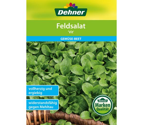 Dehner Samen Feldsalat 'Vit'