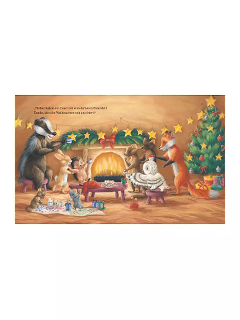 BRUNNEN VERLAG Buch - Der kleine Igel und das besondere Weihnachtsgeschenk keine Farbe