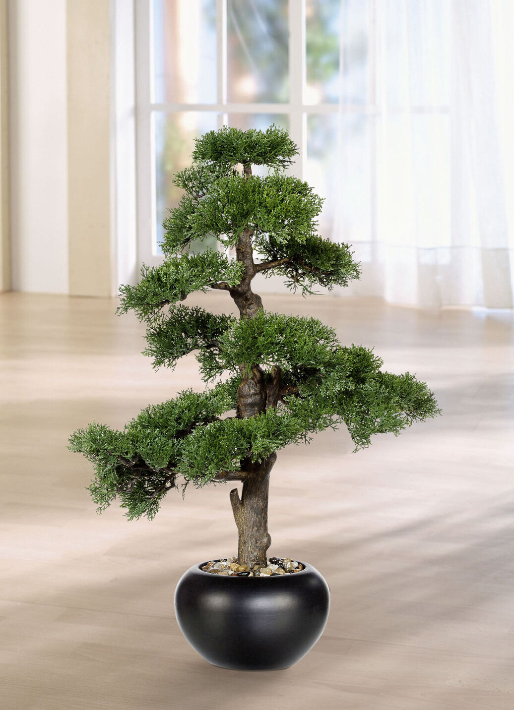 Zeder-Bonsai im Keramiktopf
