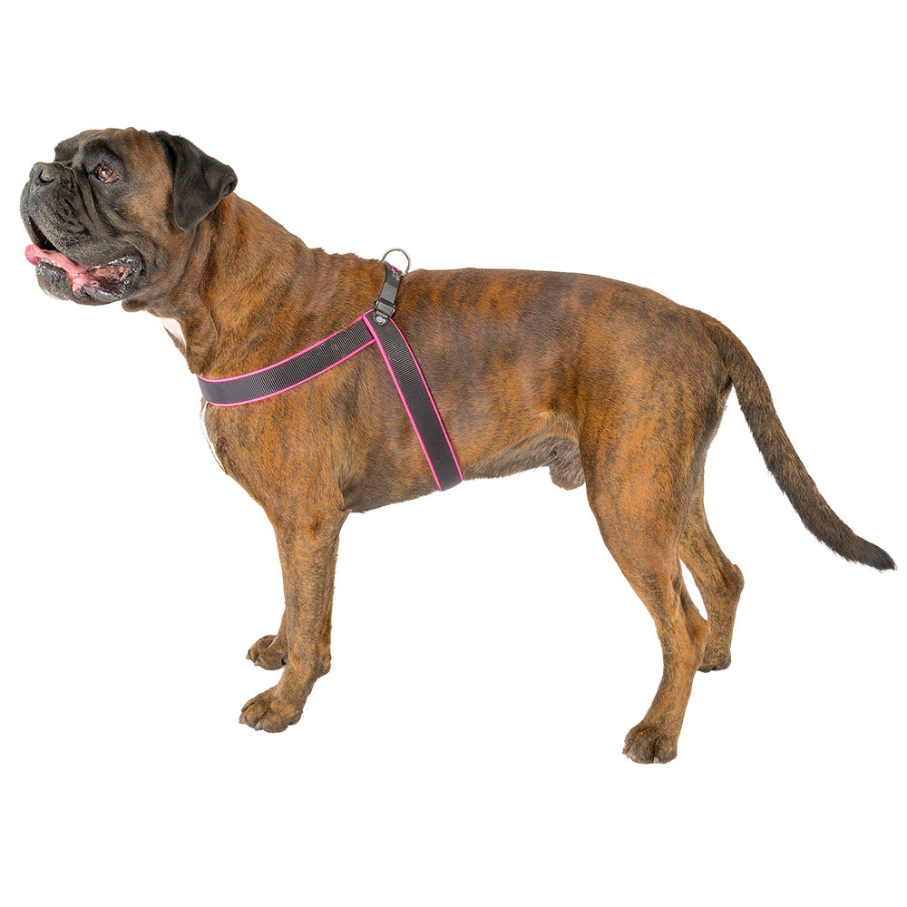 Ferplast harnais ergonomique pour chiens agila fluo 9, ajustement parfait, fermeture à double micro-régulation, rembourrage