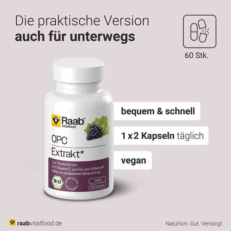 Raab Vitalfood OPC Extrakt Kapseln Bio, 60 St