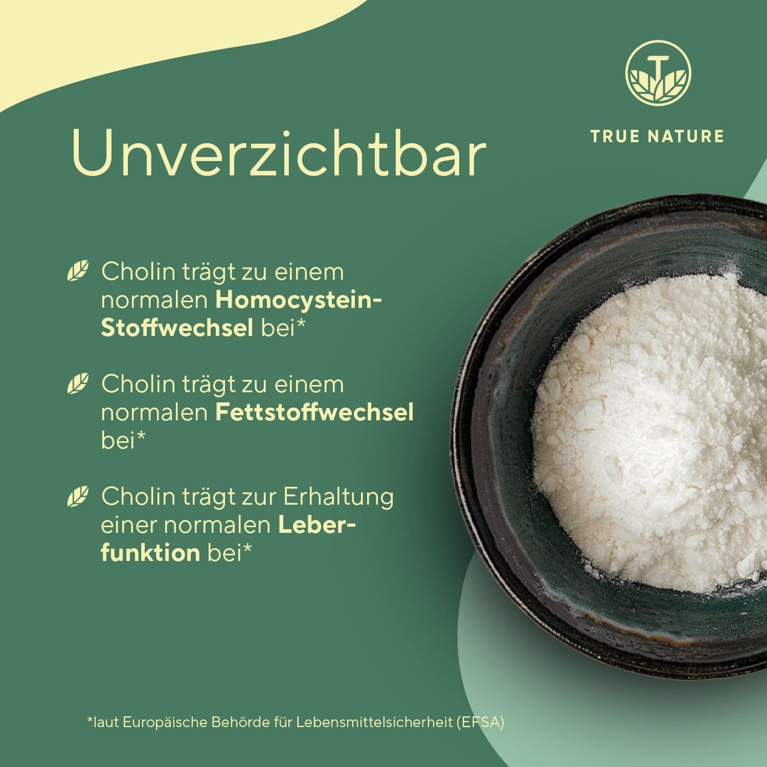 TRUE NATURE® Cholin Kapseln - Vegan & Made in Germany