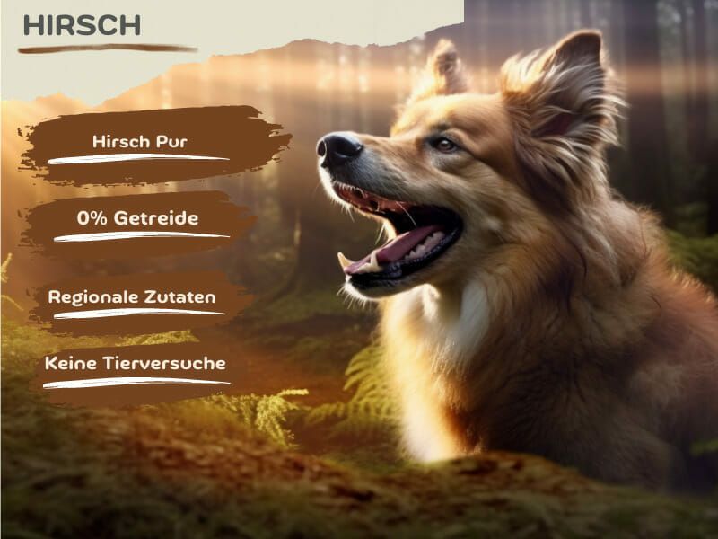 MyPetClub Wild Hundefutter