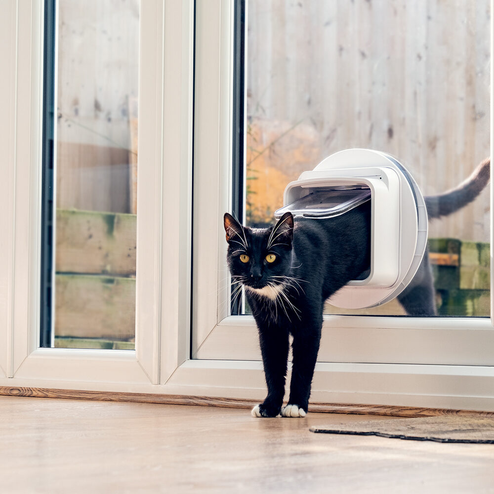 SureFlap Microchip Kattenluik Connect