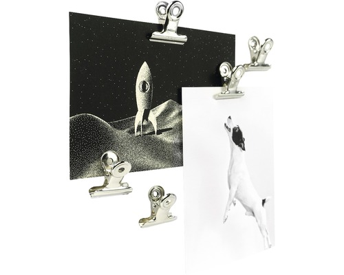 Graffa decoratieve magneetklemmen, set van 4, verchroomd