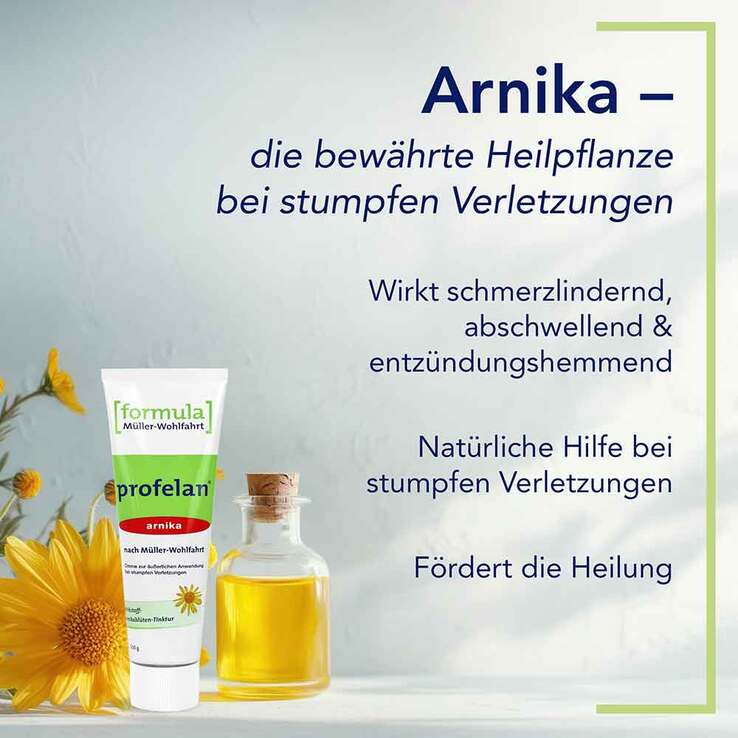 Profelan Salbe n. Müller-Wohlfahrt, 100 g