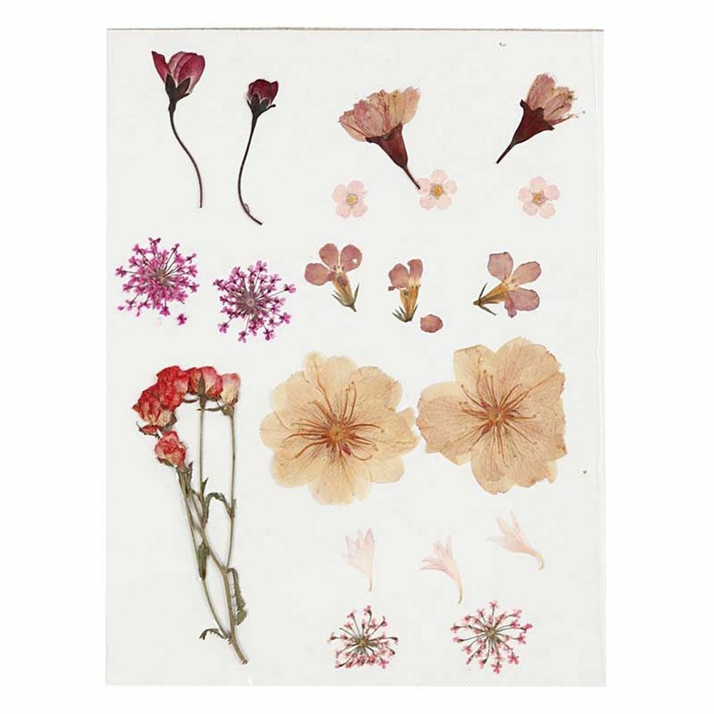 40 fleurs séchées et pressées - rose clair
