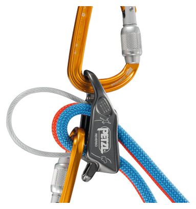 Assureur Petzl Reverso Gris