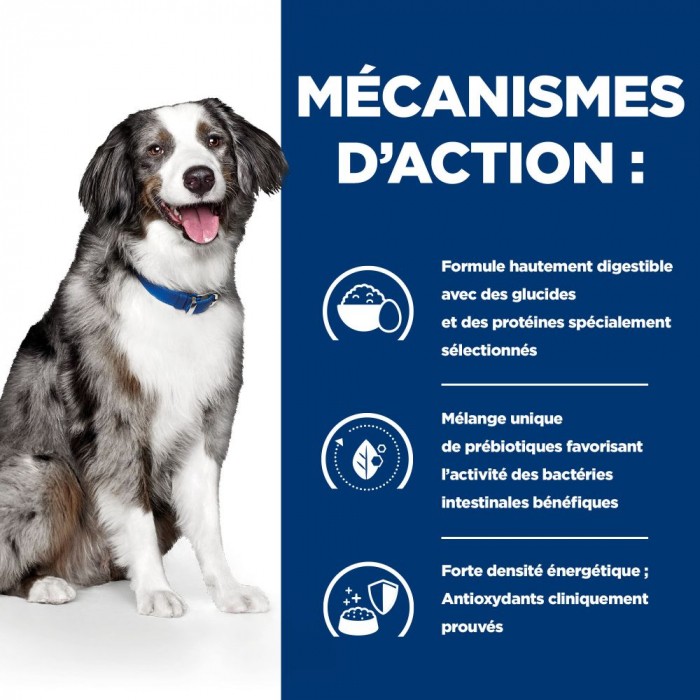 HILL'S Prescription Diet i/d Digestive Care Sensitive à l'Oeuf et au riz - Croquettes pour chien