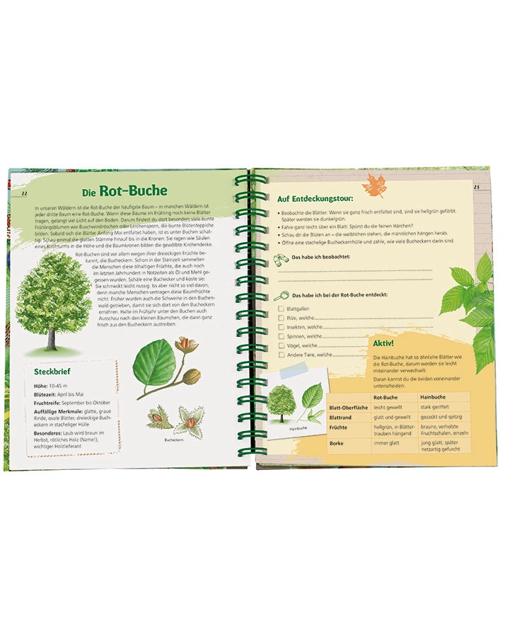 Das Wald-Forscherbuch