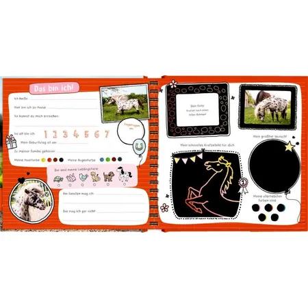 Die Spiegelburg Pony Dotti - Meine Kindergartenfreunde