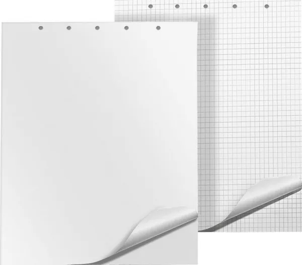 Flipoverblok 65x100cm 20K gitter
