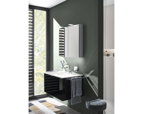 Emco Pure 2 spiegelkast, 80 x 15,3 x 72,1 cm, aluminiumkleurig, 2-deurs, LED, IP20