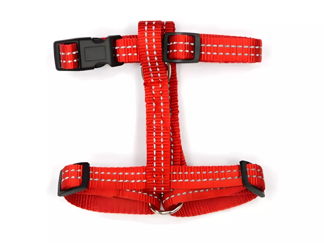 Harnais pour Chien 