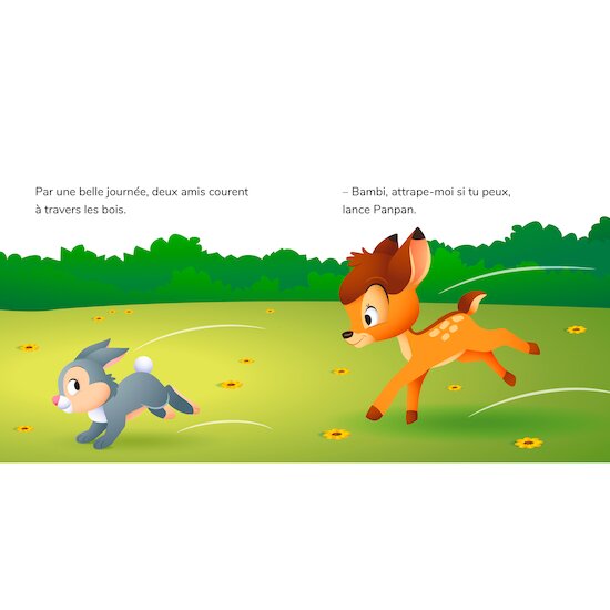 Disney Baby -Mes Premières Histoires - Panpan aide les autres   de               Hachette Jeunesse Disney