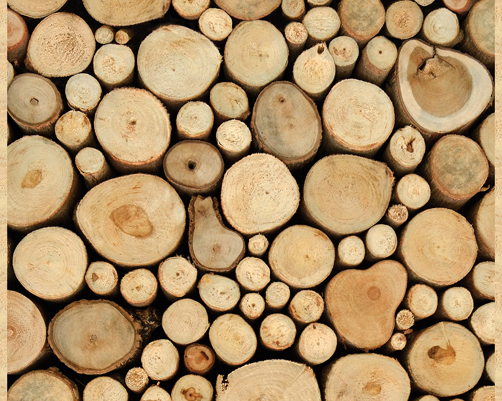 Panel POP.UP - Holz - beige-braun - 2,50 Meter