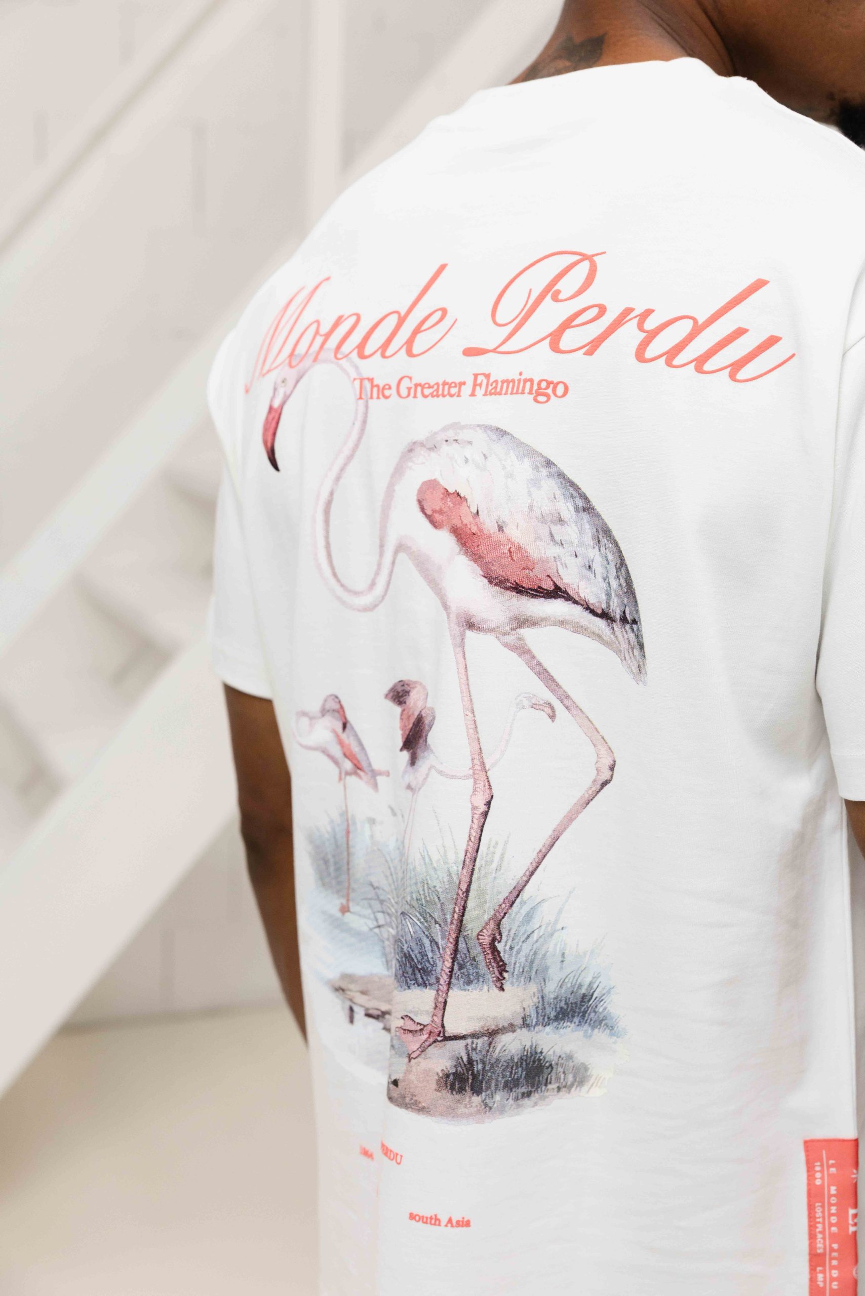 Le Monde Perdu The Greater Flamingo T-Shirt Heren Gebroken Wit