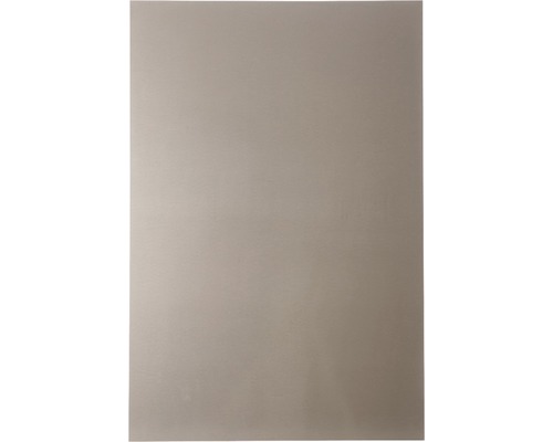 Keukenachterwand, aluminium, champagne finish, 1200x800x3 mm