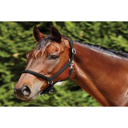 Cabresto de couro para cavalos Collegiate Weatherbeeta ComFiTec