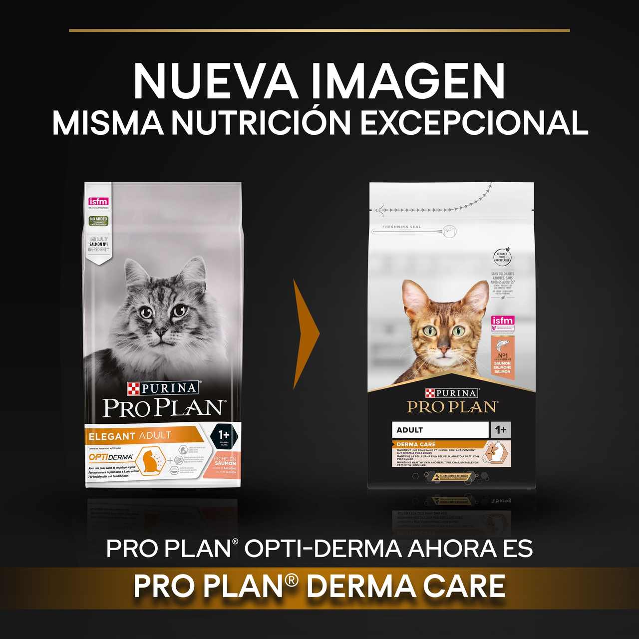 Pro Plan Adult 1+ Derma Care Salmão para Gatos