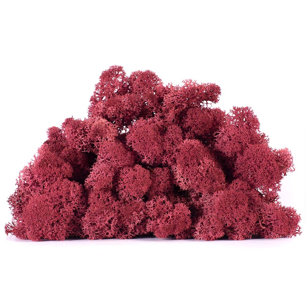 Lic/4063 lichen stabilisée bordeaux box 4 kg