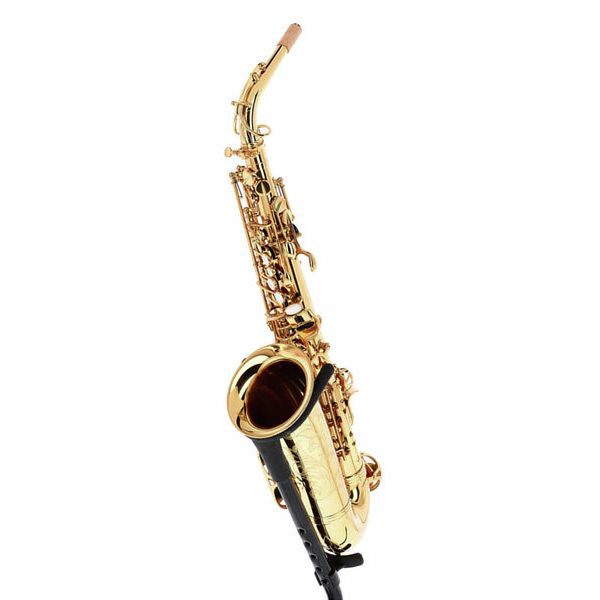 Forestone Alto Sax GX Gold Lacquered