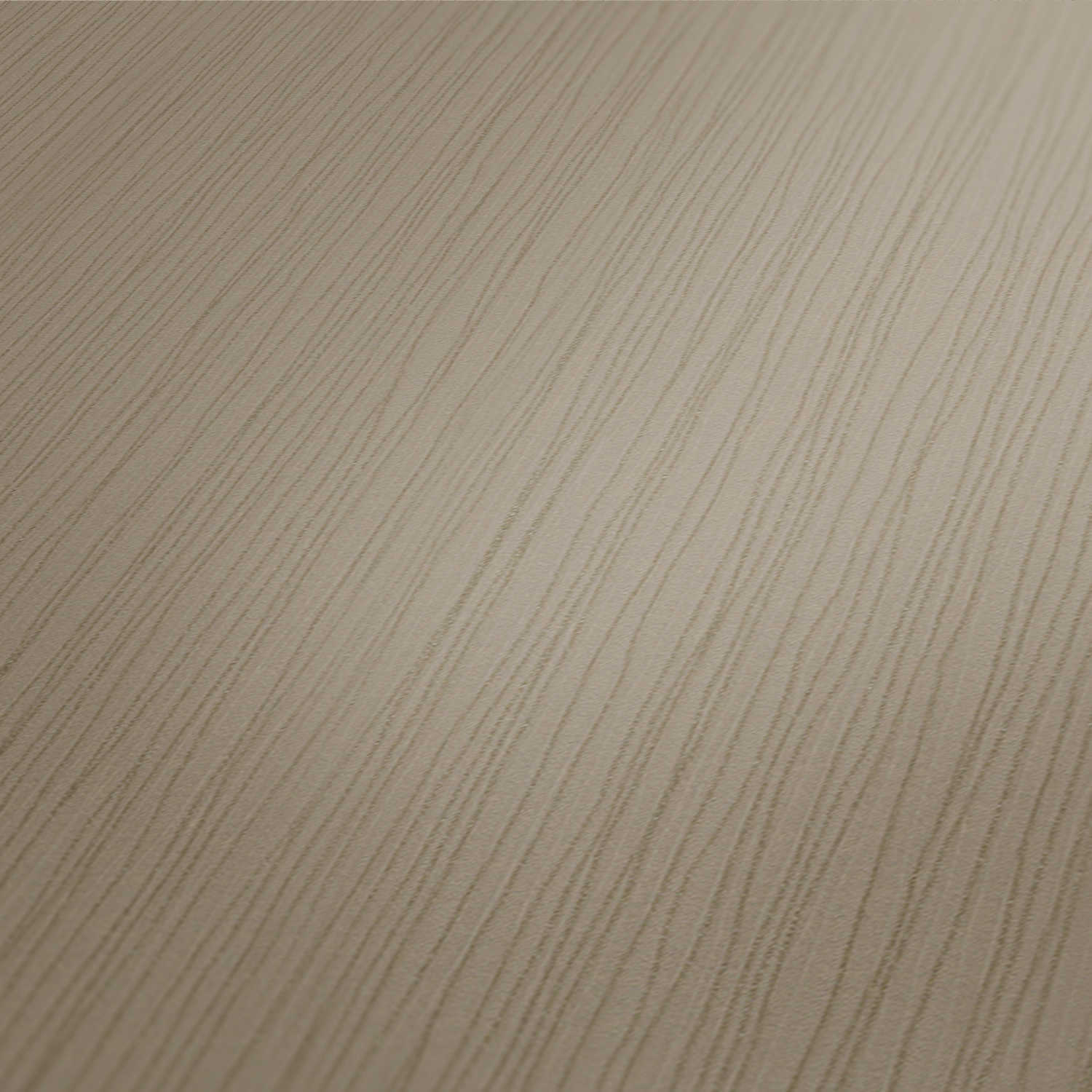 Vliestapete - AUTHENTIC WALLS 2 - uni - braun - 10 Meter