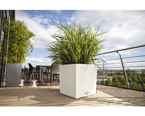 Lechuza Cube Cottage plantenbak, kunststof, 30x30x30 cm, wit