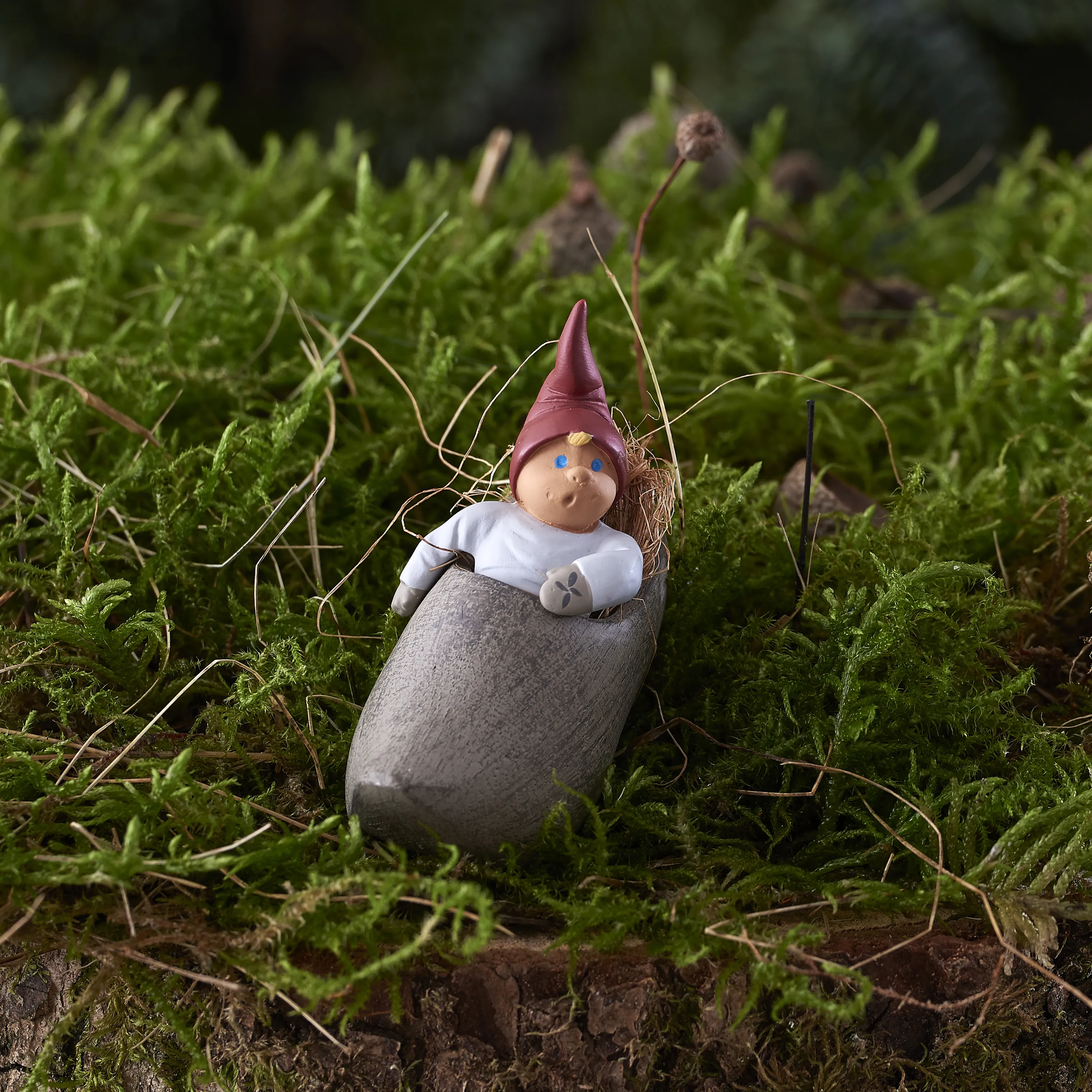 Klarborg Nisse - Milas