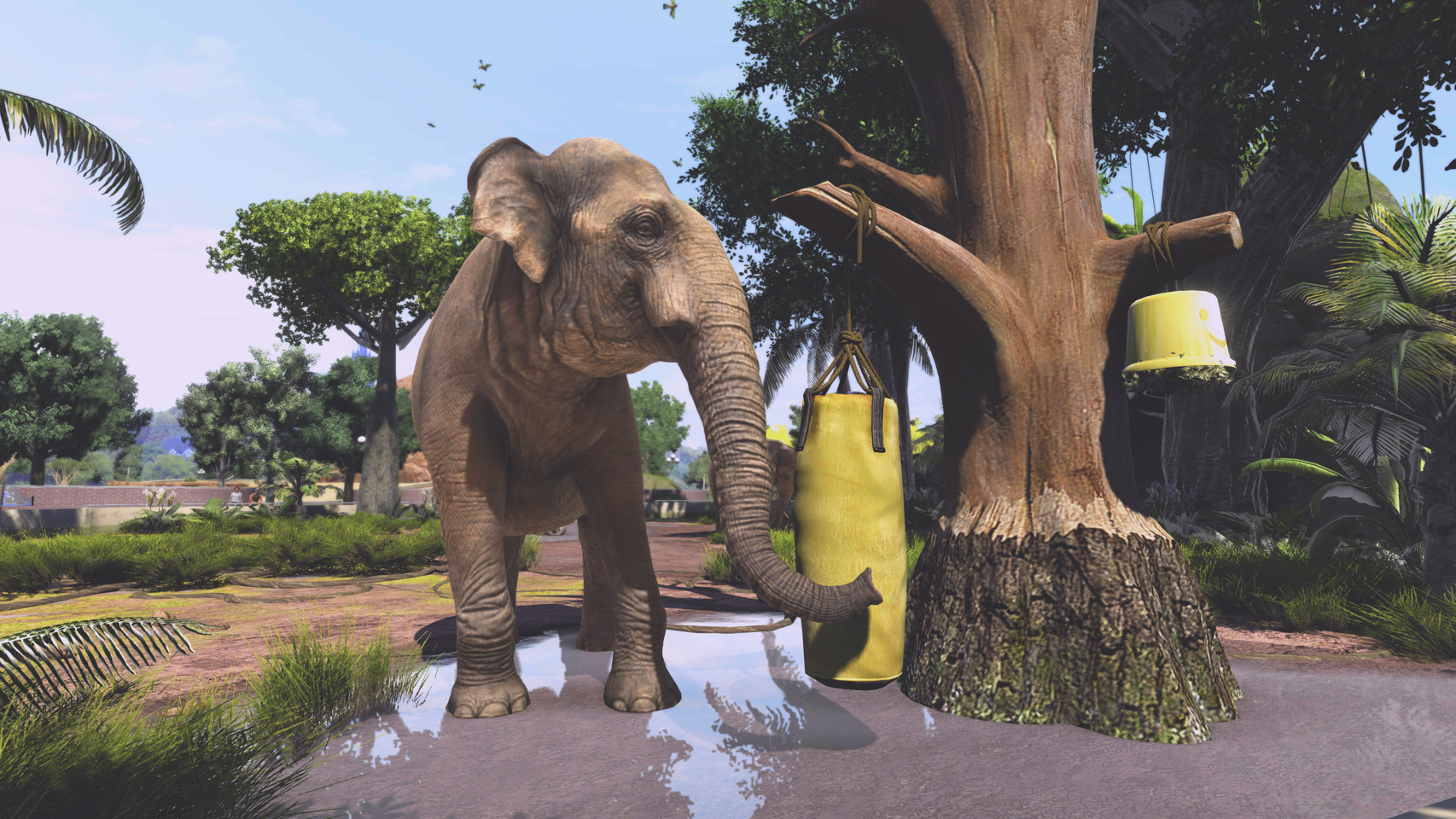 Zoo Tycoon: Ultimate Animal Collection- PC