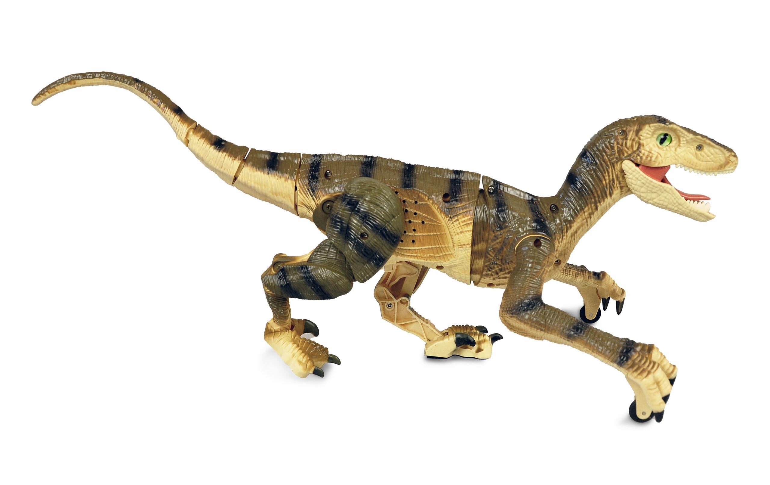 RC Dinosaurier Velociraptor, Braun RTRFerngesteuerter Velociraptor Dino