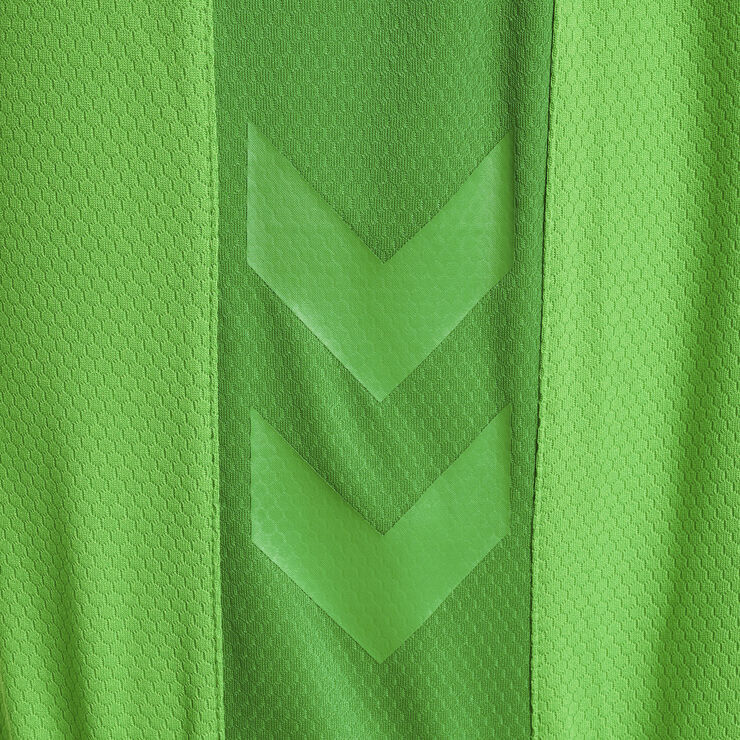Hummel DBU Danmark målmandsshorts 22 Grøn