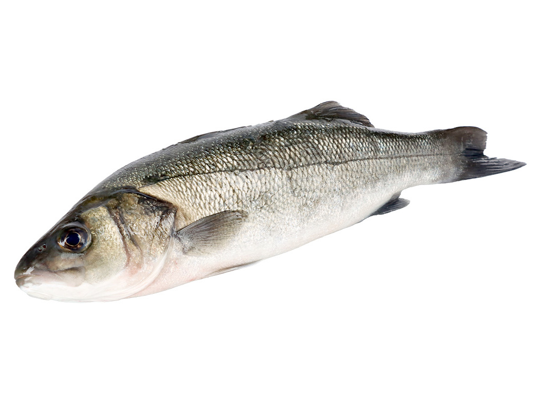 ROBALO RIA DE ALVOR AUCHAN CULTIVAMOS O BOM KG