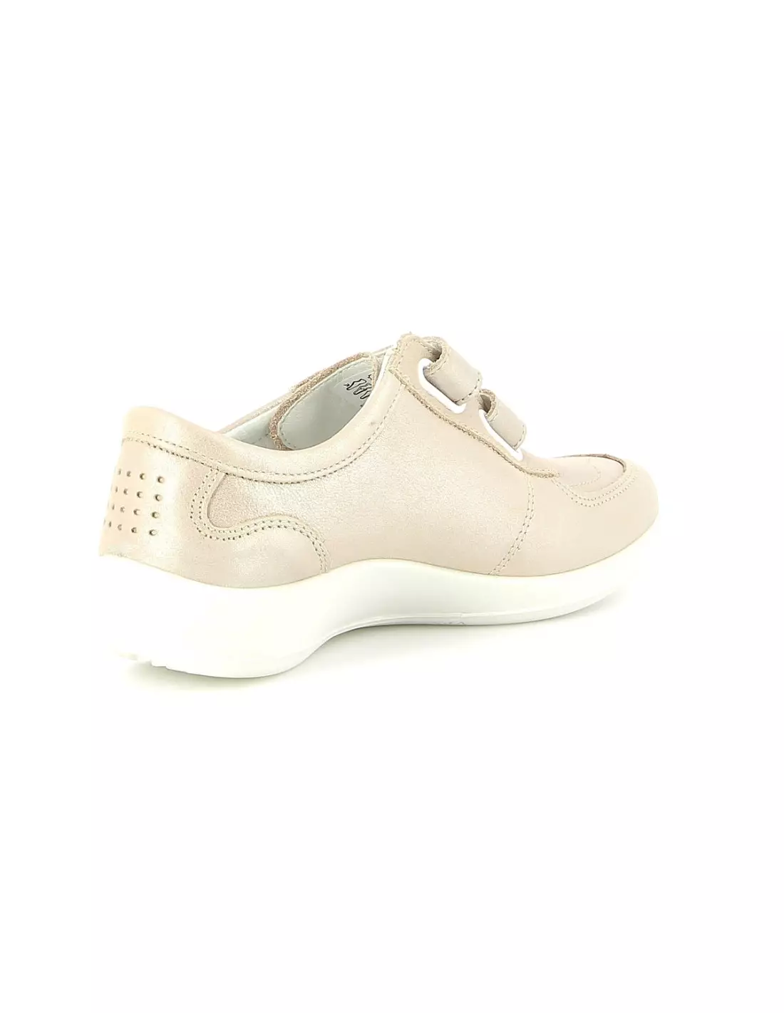 TBS ACCROC - Baskets Champagne