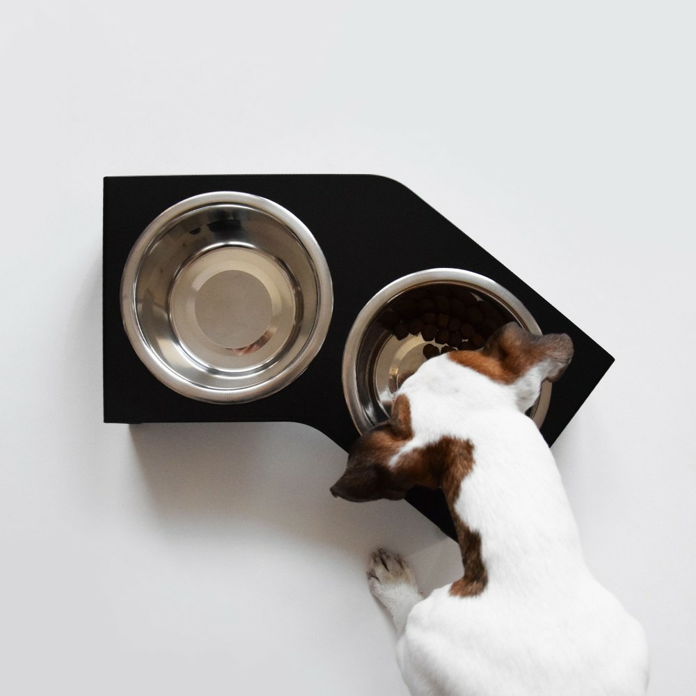 Liqui - set de 2 gamelles chien surélevées en acier, socle design métal noir