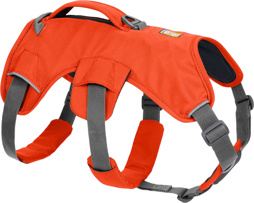 Ruffwear Web Master Hundegeschirr mit Handschlaufe Blaze Orange XXS