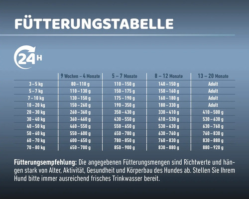 MR.BEEF Junior droogvoer voor honden, 4 kg, rundvlees, non-GMO, zonder toegevoegde suikers, zonder kunstmatige kleurstoffen, zonder soja. Gemaakt in Duitsland.
