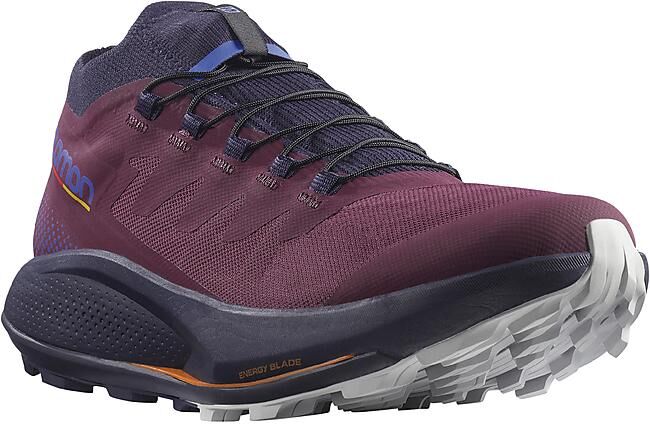 SALOMON - CHAUSSURES DE TRAIL PULSAR TRAIL PRO W